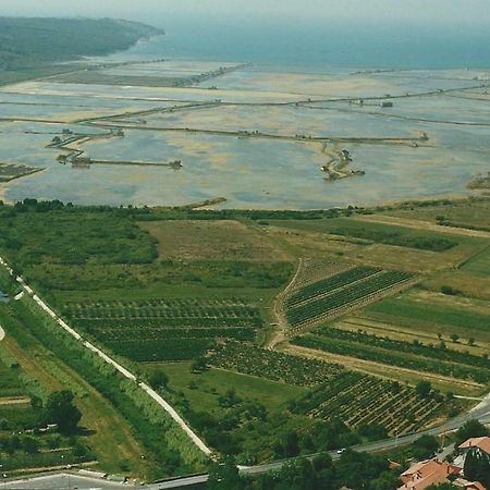 Apartmaji In Vinogradnistvo Klobas Lägenhet Sečovlje Exteriör bild