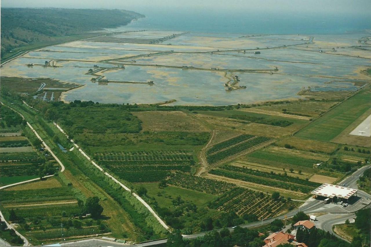 Apartmaji In Vinogradnistvo Klobas Lägenhet Sečovlje Exteriör bild