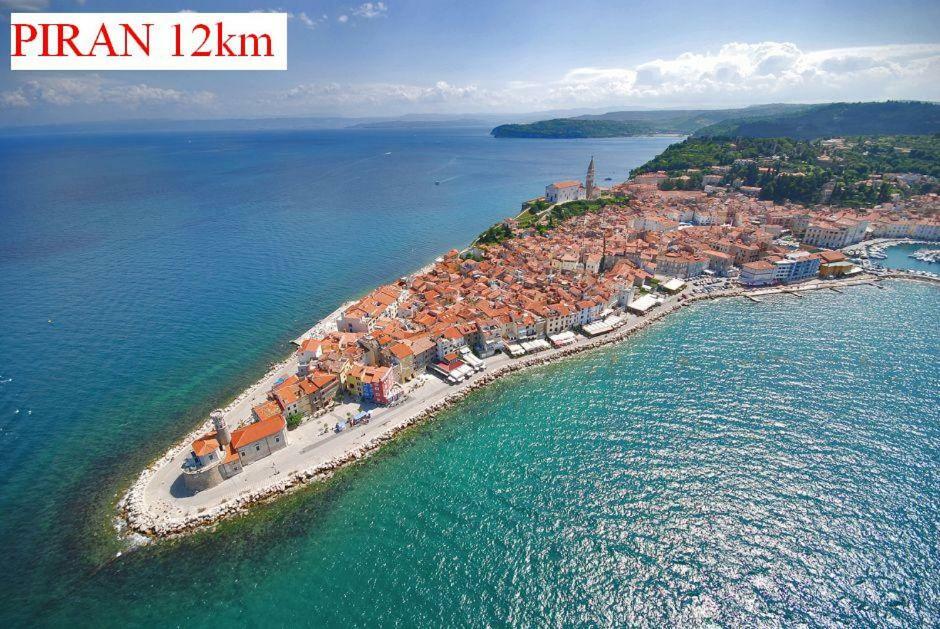 Apartmaji In Vinogradnistvo Klobas Lägenhet Sečovlje Exteriör bild